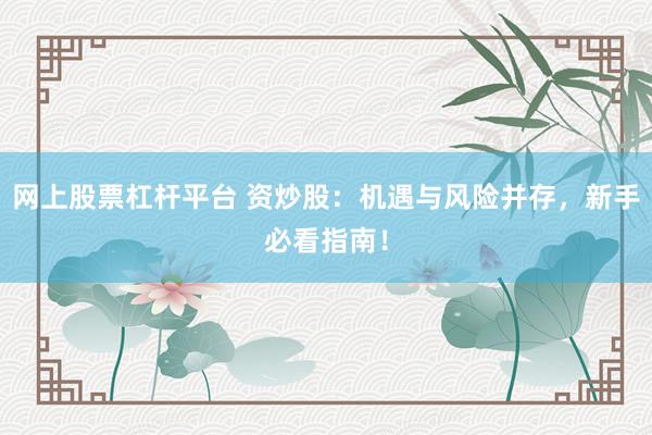 网上股票杠杆平台 资炒股：机遇与风险并存，新手必看指南！