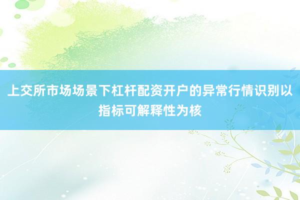 上交所市场场景下杠杆配资开户的异常行情识别以指标可解释性为核
