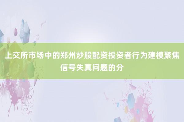 上交所市场中的郑州炒股配资投资者行为建模聚焦信号失真问题的分