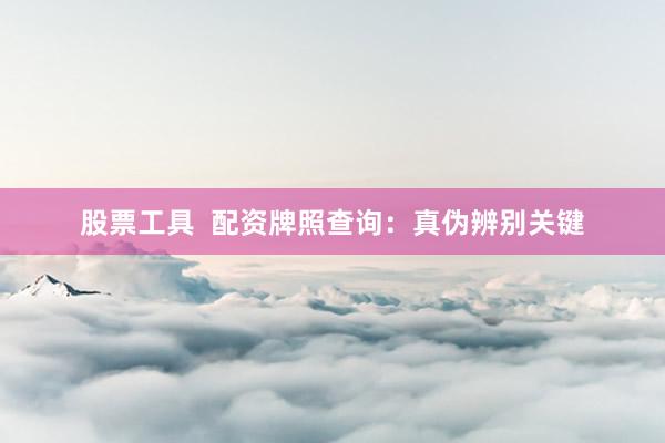 股票工具 配资牌照查询:真伪辨别关键