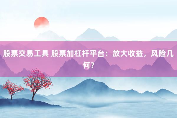 股票交易工具 股票加杠杆平台:放大收益,风险几何?
