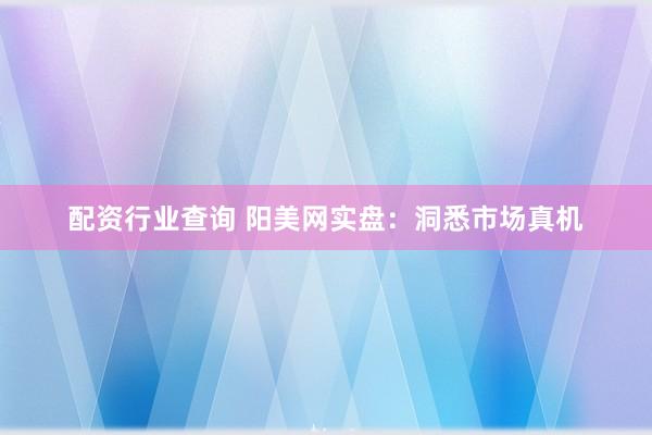 配资行业查询 阳美网实盘:洞悉市场真机