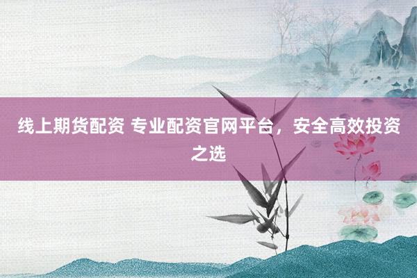 线上期货配资 专业配资官网平台，安全高效投资之选