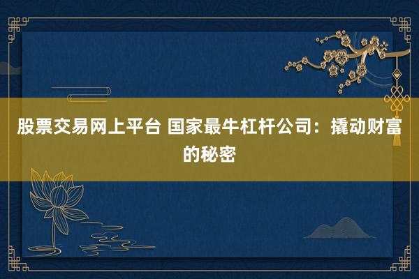 股票交易网上平台 国家最牛杠杆公司：撬动财富的秘密